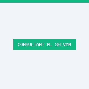 M. Selvam